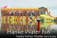 Harike Water Bus